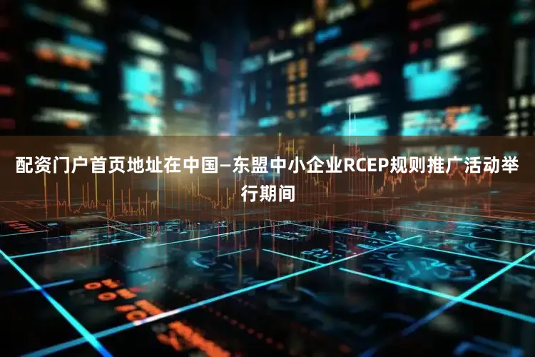 配资门户首页地址在中国—东盟中小企业RCEP规则推广活动举行期间